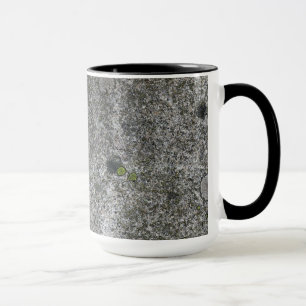 Caneca Cinza da rocha do granito com musgo verde