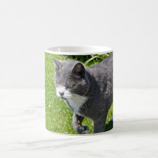 Caneca cinzenta e branca do gato
