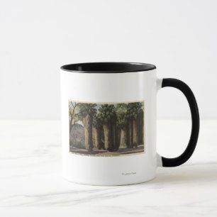 Caneca Círculo de Palmas, Andreas Canyon