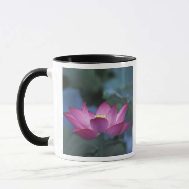 Caneca Close-up da flor de lótus vermelha e folhas verdes (Esquerda)