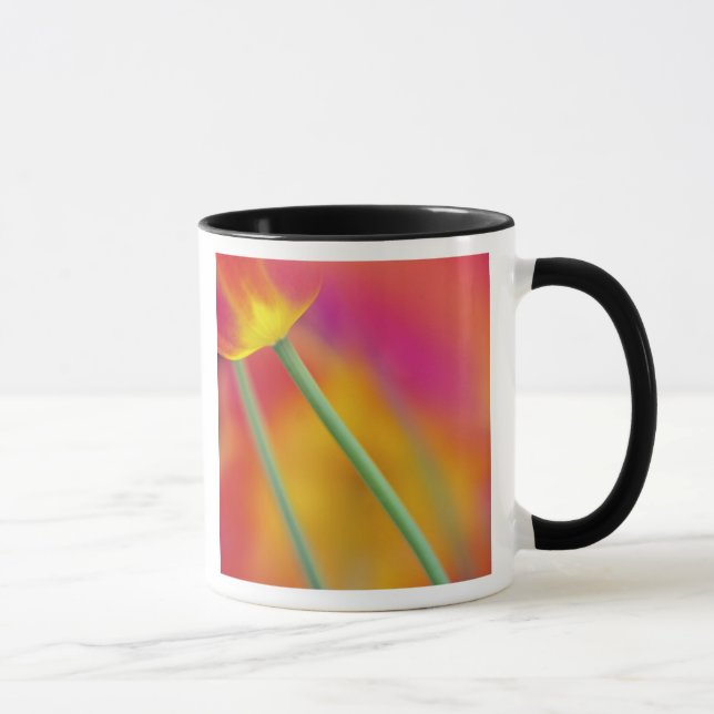Caneca Close-up da parte inferior da flor de tulipa, (Direita)