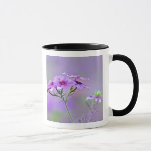 Caneca Close-up de Phlox Drummond, Phlox drummondi,