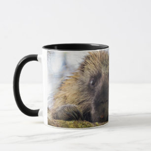 Caneca Close-up de um porco-espinho em uma árvore