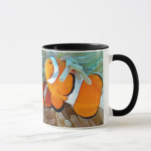 Caneca Clownfish