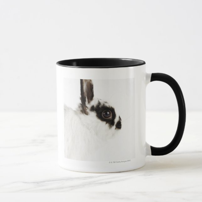 Caneca Coelho lanoso do jérsei (Direita)
