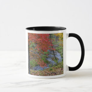 Caneca Coles Creek alinhada com árvores de bordo de outon