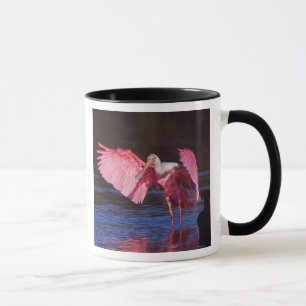 Caneca Colhereiro com Cormorão