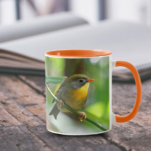 Caneca Colorful Pekin Robin Songbird no Branch
