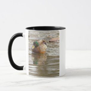 Caneca com Foto de Pato-real
