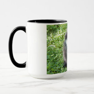 caneca com foto original de um Pomeraniano