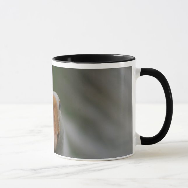 Caneca com gansos… (Direita)