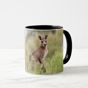 Caneca Combo