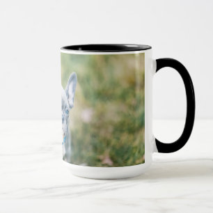 Caneca Conjunto de um Bulldog Francês