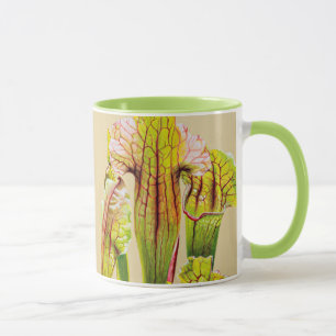 Caneca Conjunto litoral da planta de jarro