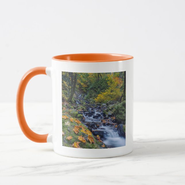 Caneca Cor de Outono ao Longo das Quedas do Starvation Cr (Esquerda)
