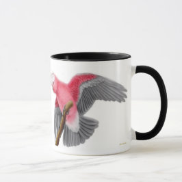 Caneca cor-de-rosa de Galah do Cockatoo de