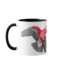 Caneca cor-de-rosa de Galah do Cockatoo de