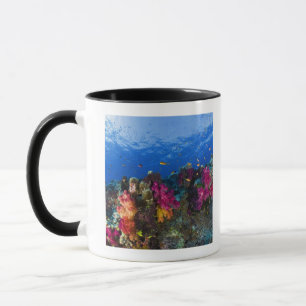 Caneca Corais macios no recife raso, Fiji