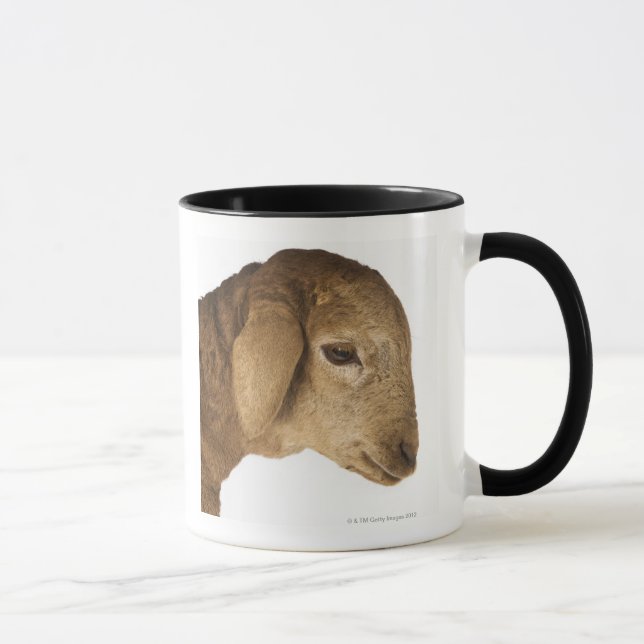 Caneca Cordeiro doméstico (Direita)