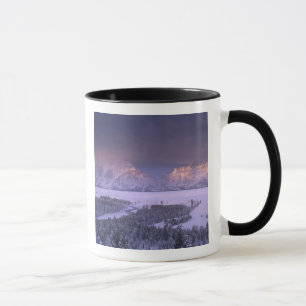 Caneca Cordilheira Teton do Snake River Overlook, Grand