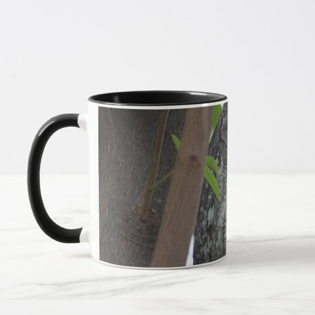 Caneca Coruja africana dormindo numa árvore (Esquerda)