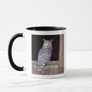 Caneca Coruja empoleirada em uma janela