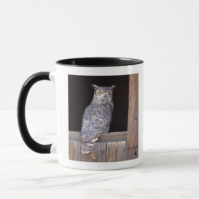 Caneca Coruja empoleirada em uma janela (Esquerda)