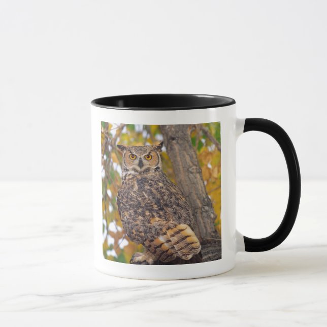 Caneca Coruja-grande (Direita)