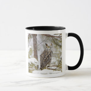 Caneca Coruja orelhuda longa