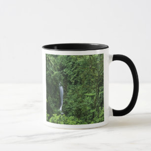 Caneca Costa Rica, área do vulcão Arenal, pontes de enf