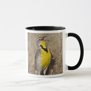 Caneca Cotovia-de-flancos-amarelos (Sturnella neglecta)