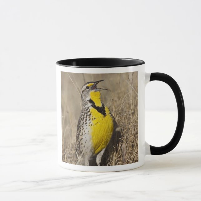 Caneca Cotovia-de-flancos-amarelos (Sturnella neglecta) (Direita)