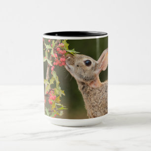 Caneca Cottontail oriental Sul do Texas