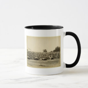 Caneca Couro de secagem, Argentina (impressão do albume