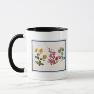 Caneca Cravo-de-defunto de pântano, Japonica, violeta