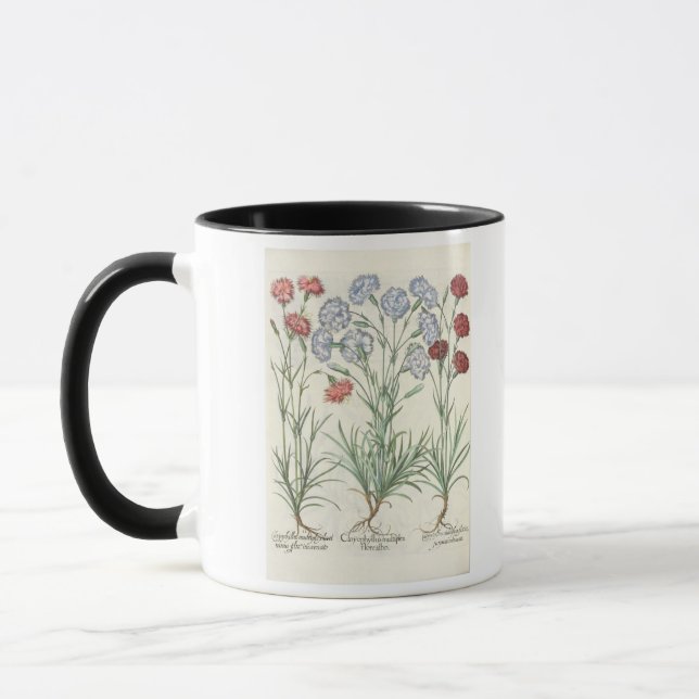 Caneca Cravos: albo multiplex do flore 1.Caryophyllus; 2 (Esquerda)