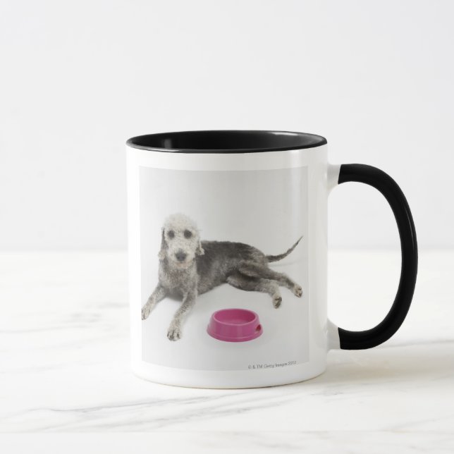 Caneca Cuidados dos animais de estimação, saúde e (Direita)