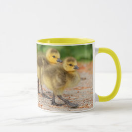 Caneca Cuteness on Parade: Canadá Goslings
