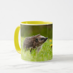 Caneca Cutest Baby Animals European Hedgehog