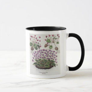 Caneca Cyclamen: hederaceis dos foliis do serotinum