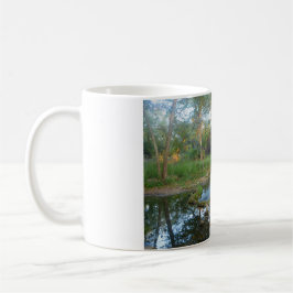 Caneca Cypress Creek