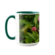 Caneca da borboleta com flores do milkweed