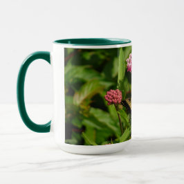 Caneca da borboleta com flores do milkweed