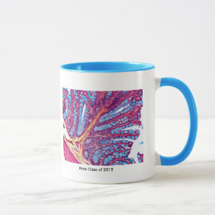 caneca da classe do histo
