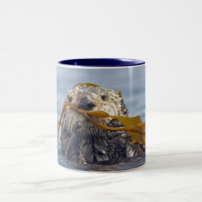 Caneca da lontra de mar de Califórnia (Centro)