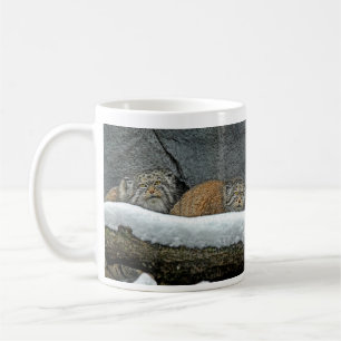 Caneca da neve dos gatos de Pallas