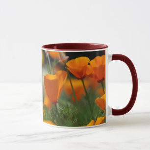 Caneca da papoila de Califórnia