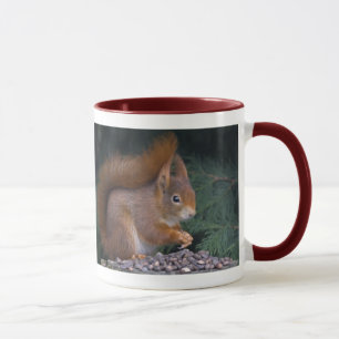 Caneca da refeição matinal da porca