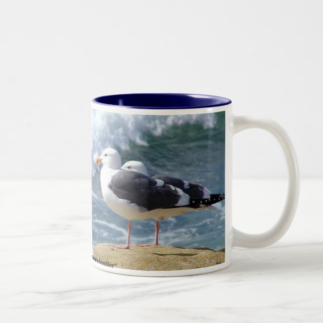 Caneca da ruptura da praia da gaivota (Direita)