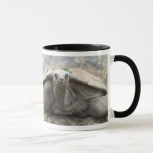 Caneca da tartaruga de Galápagos